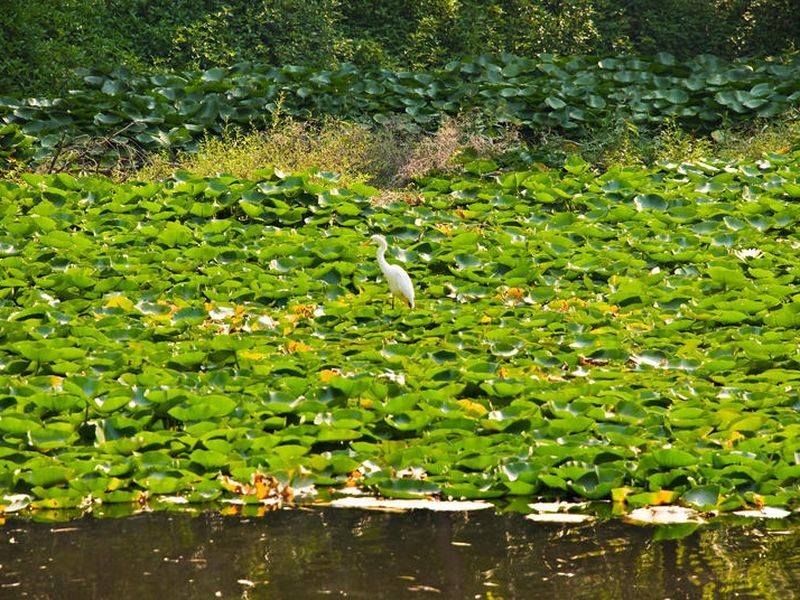 13-15 Griffiths Street Manoora, Cairns QLD 4870