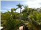3/119 Arlington Esplanade, Clifton Beach QLD 4879