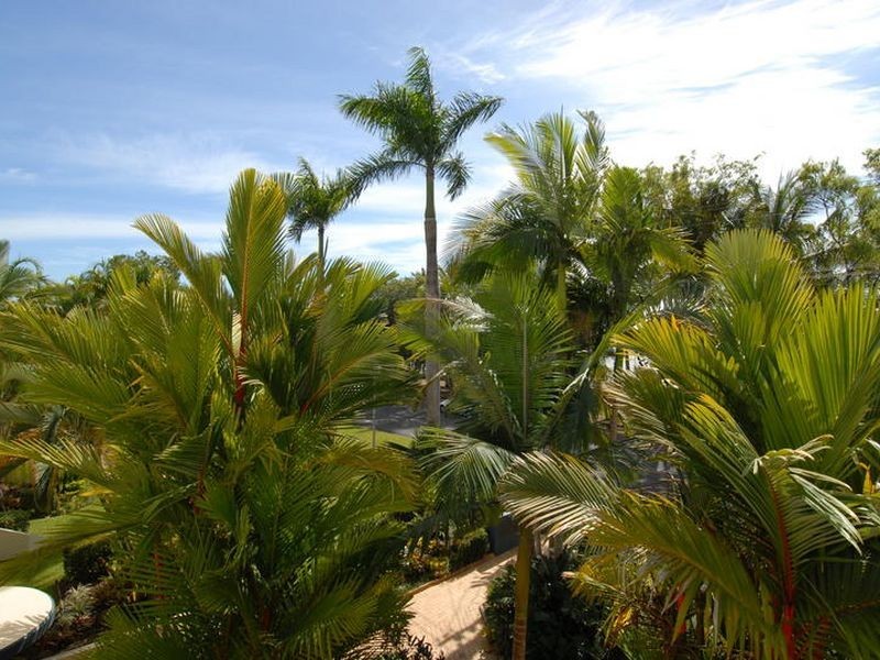 3/119 Arlington Esplanade, Clifton Beach QLD 4879