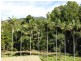 3/119 Arlington Esplanade, Clifton Beach QLD 4879