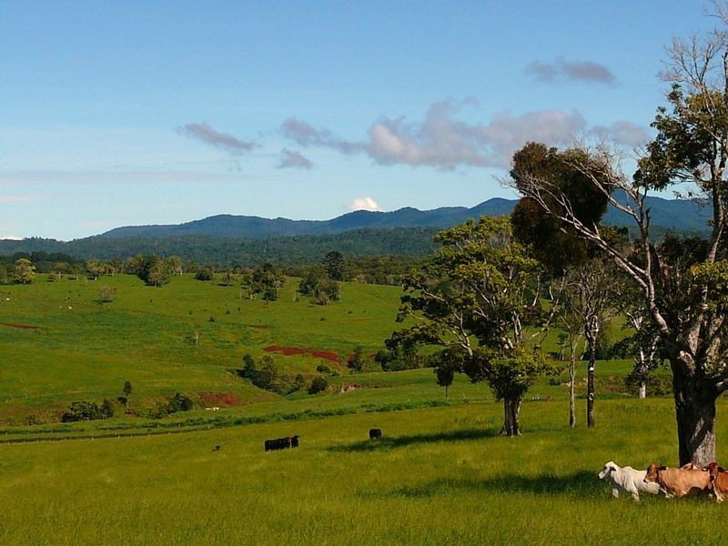 Lots 1 to Gudulu Close, Yungaburra QLD 4884