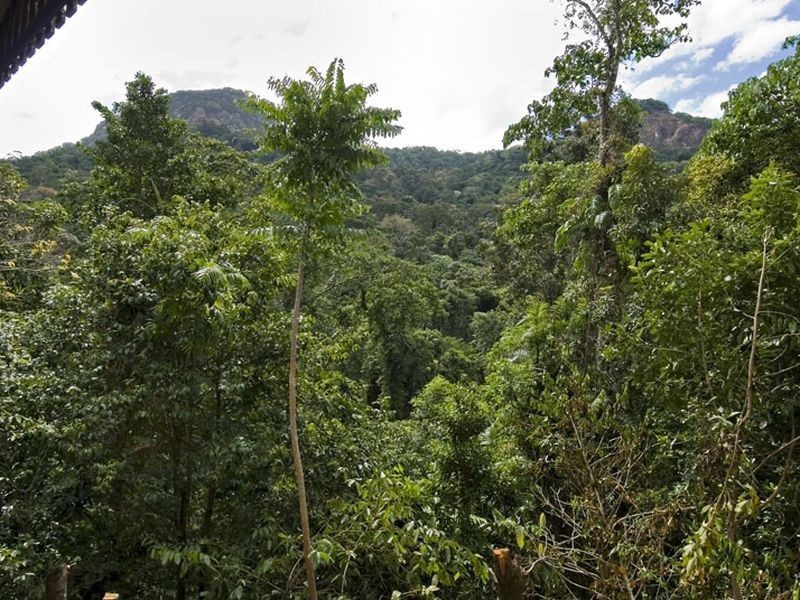 6 Euodia Close Rainforest Estate, Kamerunga QLD 4870