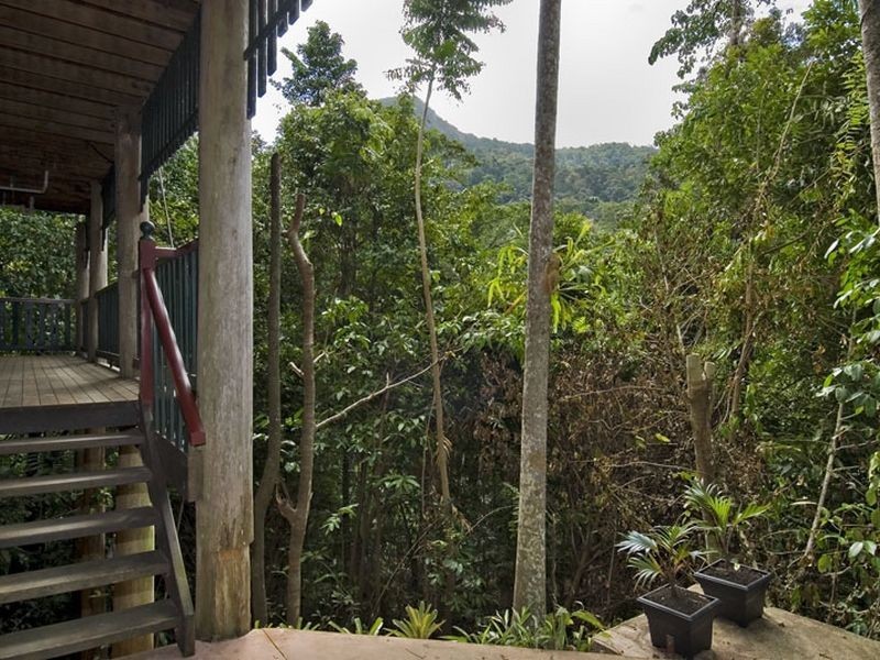 6 Euodia Close Rainforest Estate, Kamerunga QLD 4870