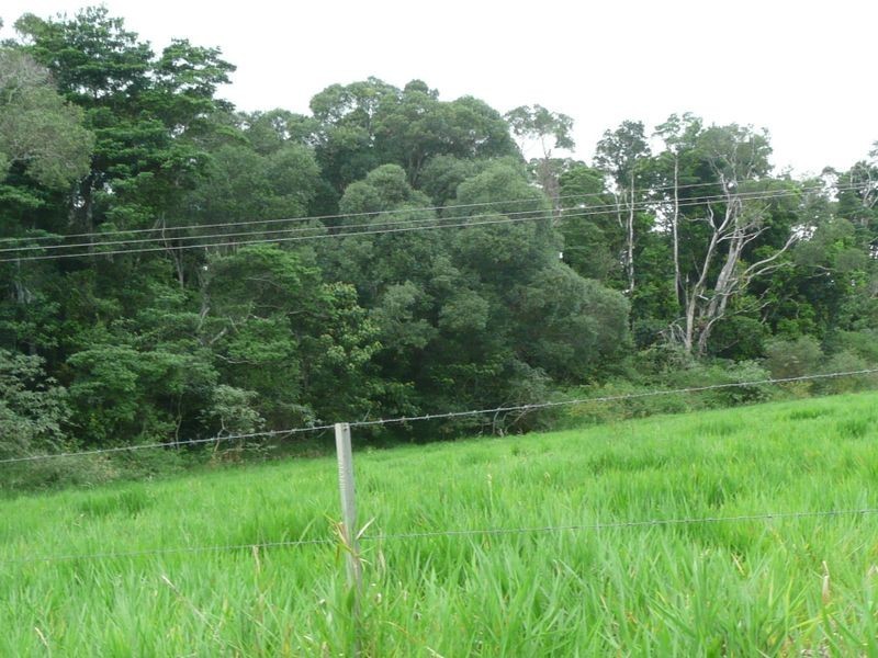 217 Winfield Road, Lake Eacham QLD 4884