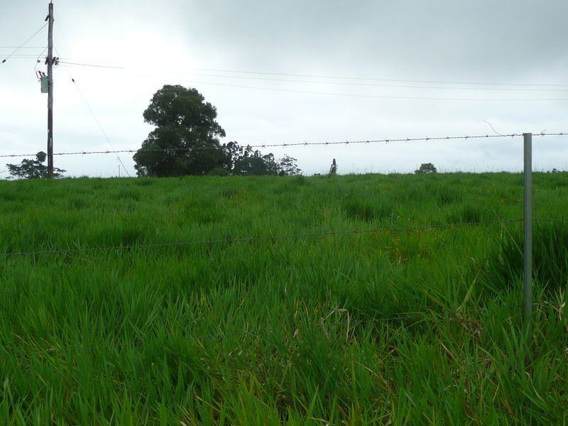 217 Winfield Road, Lake Eacham QLD 4884