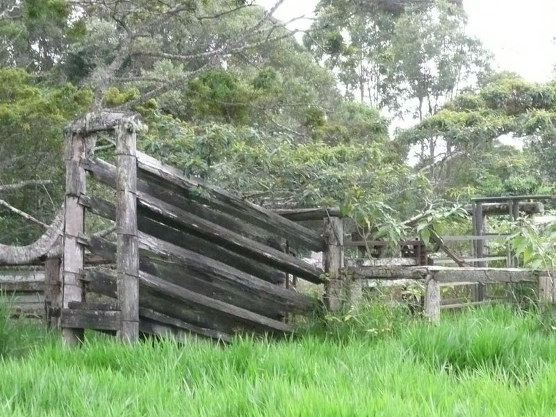 217 Winfield Road, Lake Eacham QLD 4884