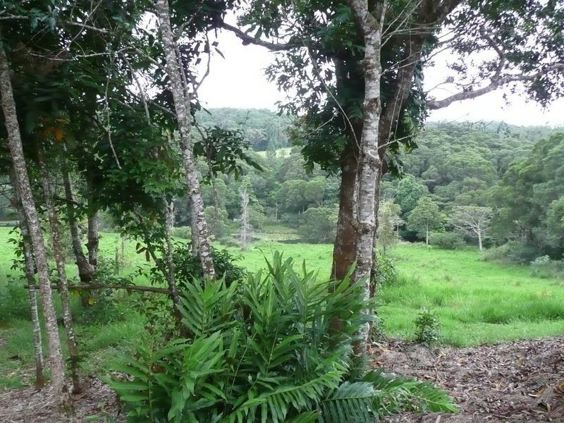 217 Winfield Road, Lake Eacham QLD 4884