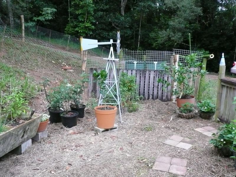 217 Winfield Road, Lake Eacham QLD 4884