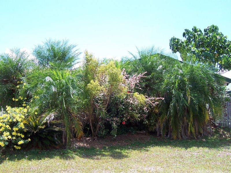 Mount Sheridan QLD 4868