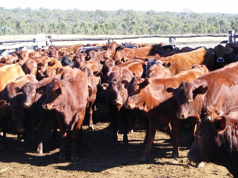 Tingoora QLD 4608
