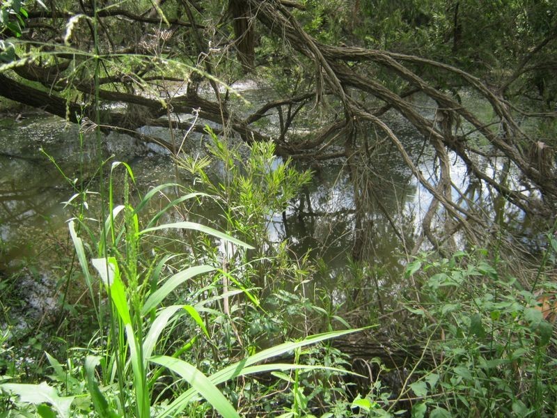 Tingoora QLD 4608