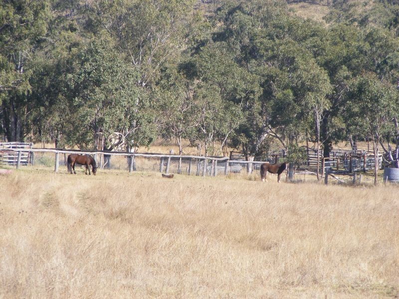 0 Tim Shea Creek Road, Wengenville QLD 4615