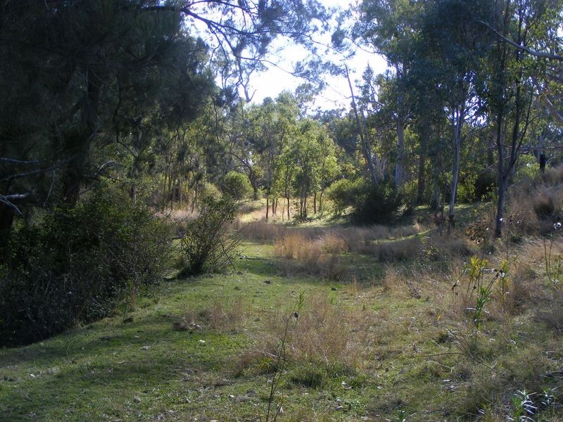 0 Tim Shea Creek Road, Wengenville QLD 4615