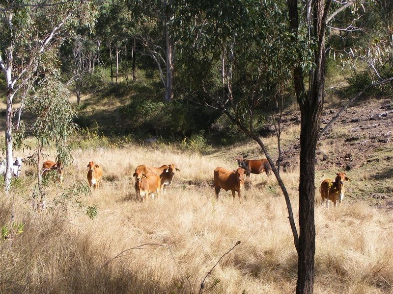 0 Tim Shea Creek Road, Wengenville QLD 4615