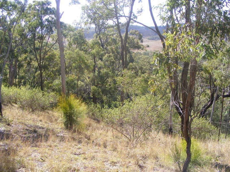 0 Tim Shea Creek Road, Wengenville QLD 4615