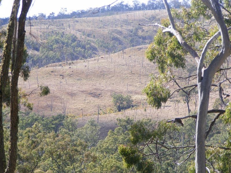 0 Tim Shea Creek Road, Wengenville QLD 4615