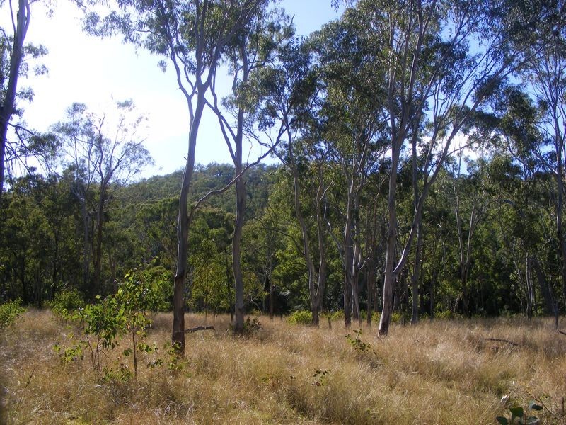 0 Tim Shea Creek Road, Wengenville QLD 4615