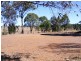 Tingoora QLD 4608