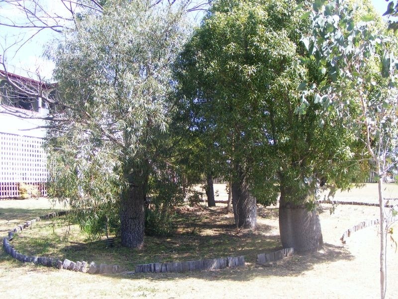 Nanango QLD 4615
