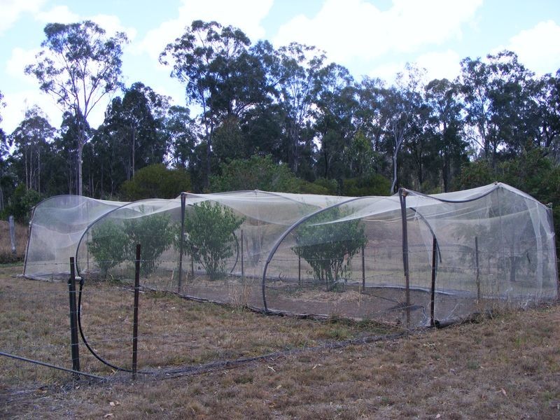 Runnymede QLD 4615