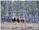 216 Kumbia Back Road, Kumbia QLD 4610