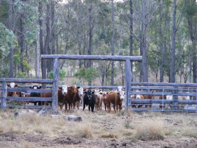 216 Kumbia Back Road, Kumbia QLD 4610