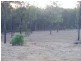 216 Kumbia Back Road, Kumbia QLD 4610