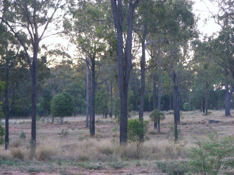 216 Kumbia Back Road, Kumbia QLD 4610
