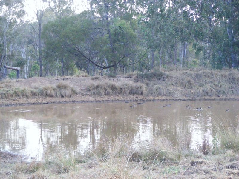 216 Kumbia Back Road, Kumbia QLD 4610
