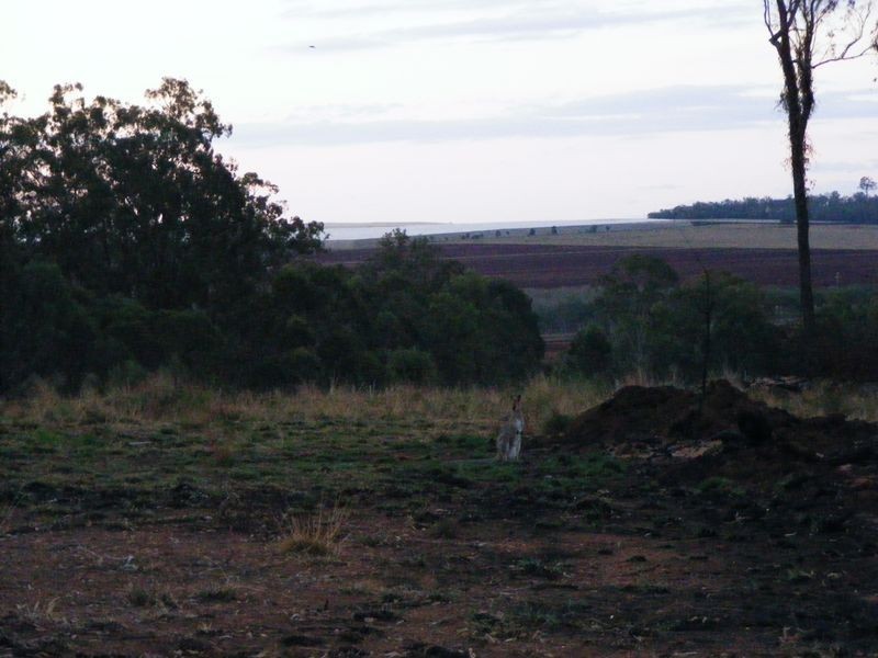 216 Kumbia Back Road, Kumbia QLD 4610