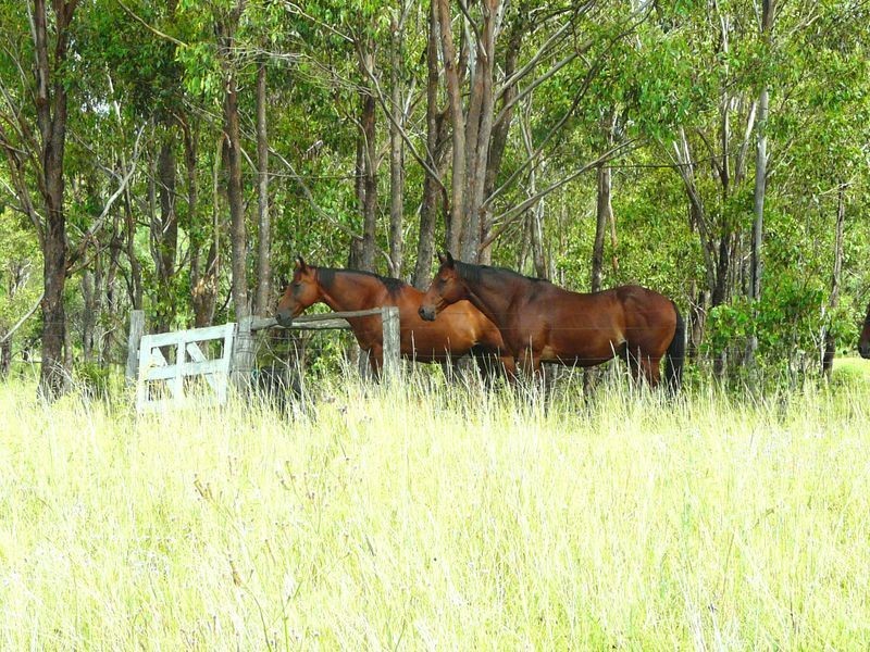 Gordonbrook QLD 4610