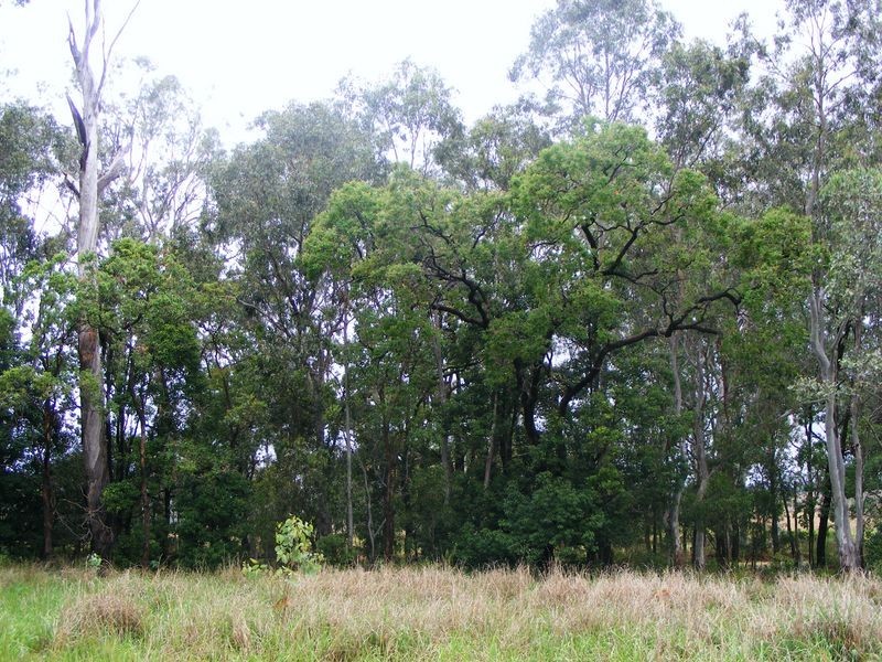 1 Reedy Creek Road, Kumbia QLD 4610