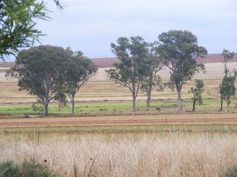 1 Reedy Creek Road, Kumbia QLD 4610