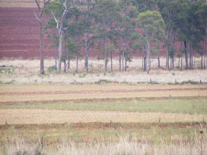 1 Reedy Creek Road, Kumbia QLD 4610