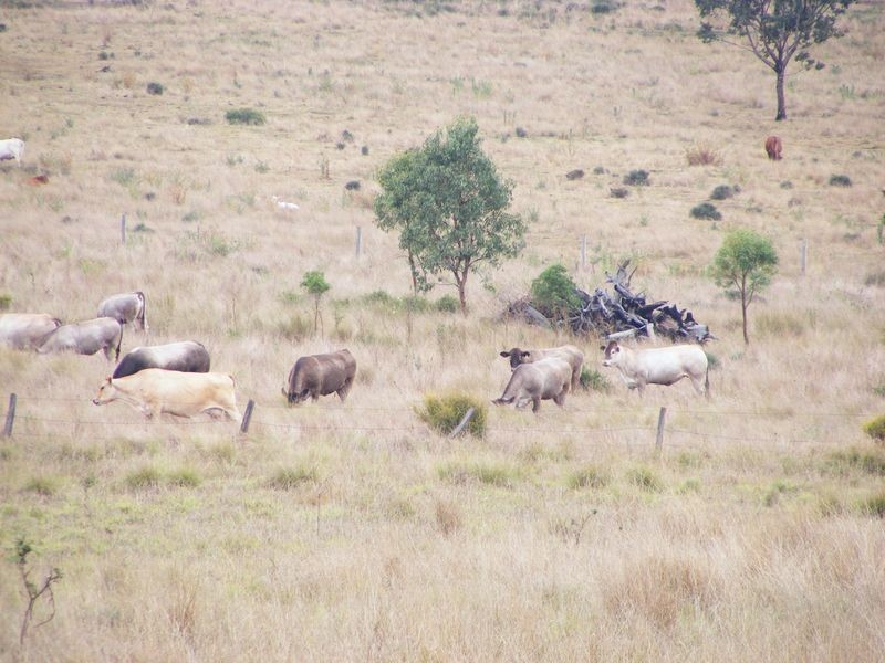 1 Reedy Creek Road, Kumbia QLD 4610