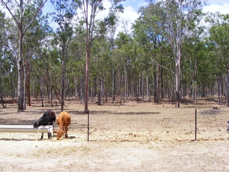 Kingaroy QLD 4610