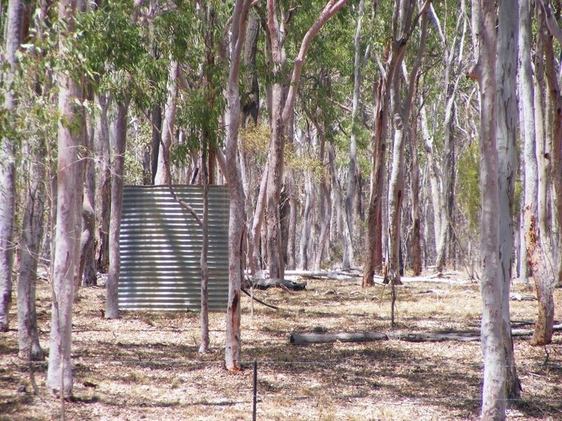 Kingaroy QLD 4610