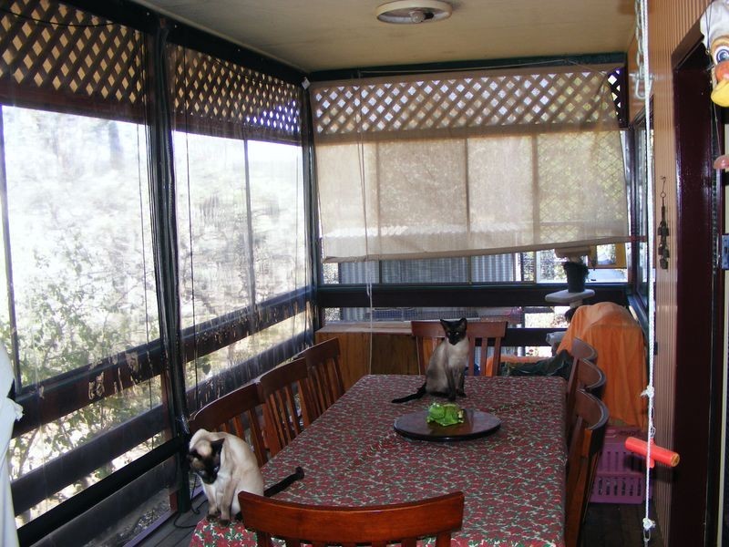 Wattle Camp QLD 4615