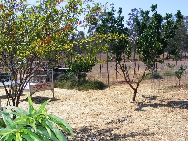 Wattle Camp QLD 4615