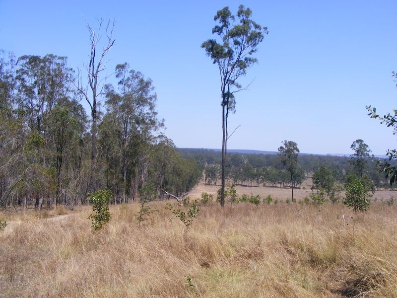 Wattle Camp QLD 4615