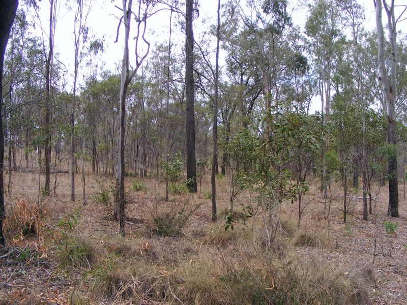 57 Franklins Road, Wattle Camp QLD 4615