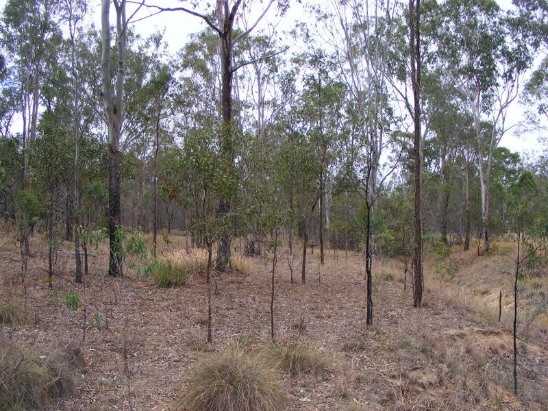 57 Franklins Road, Wattle Camp QLD 4615