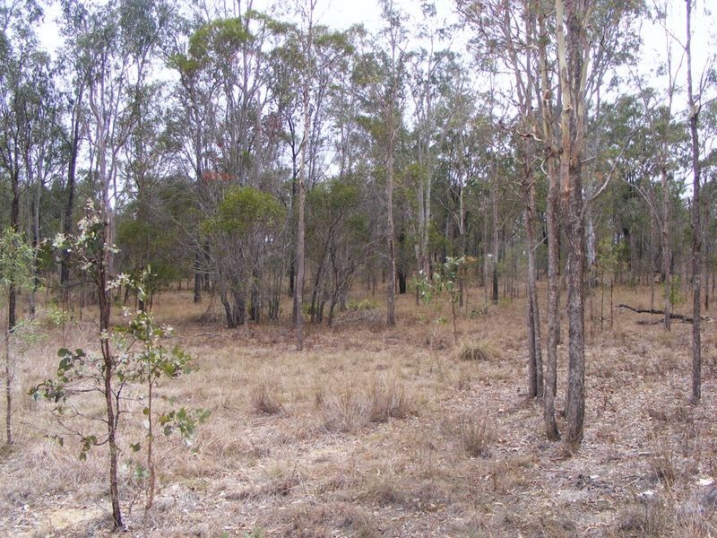 57 Franklins Road, Wattle Camp QLD 4615