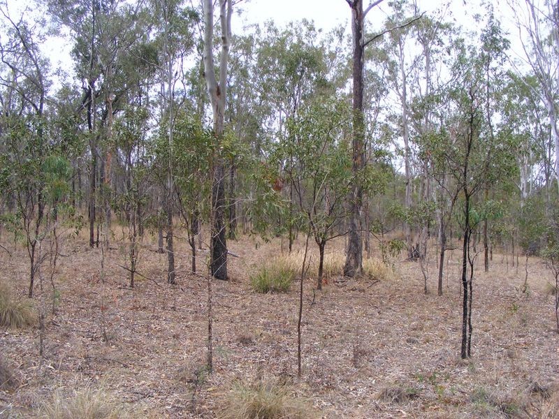 57 Franklins Road, Wattle Camp QLD 4615