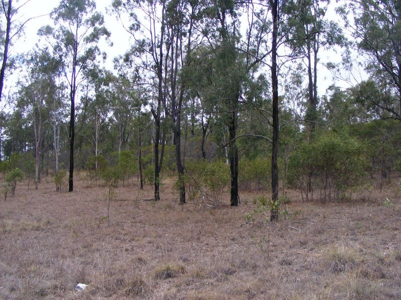 127 Brocklehurst Road, Wattle Camp QLD 4615