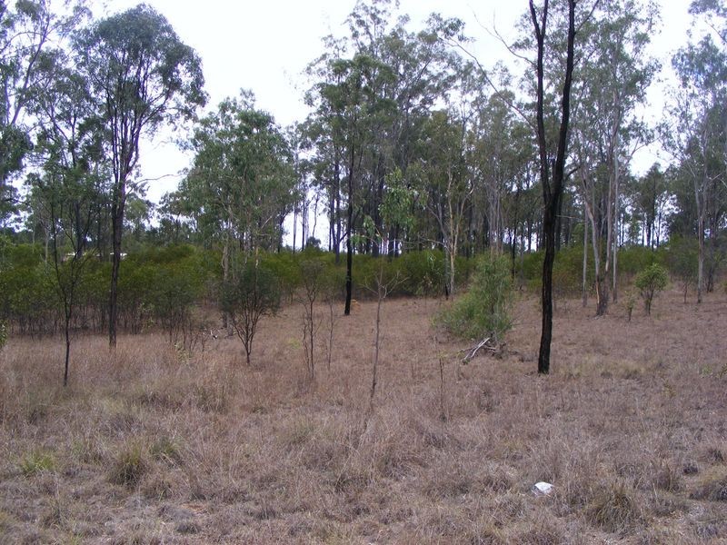 127 Brocklehurst Road, Wattle Camp QLD 4615