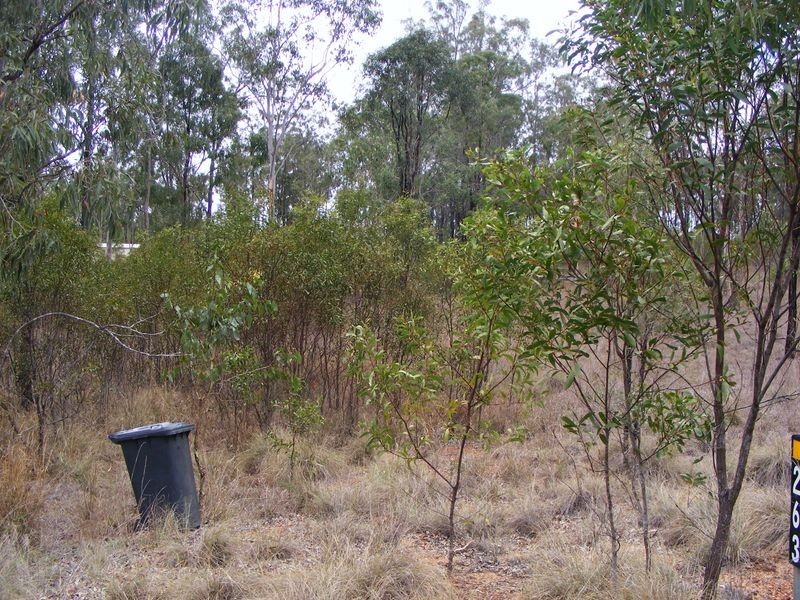 127 Brocklehurst Road, Wattle Camp QLD 4615