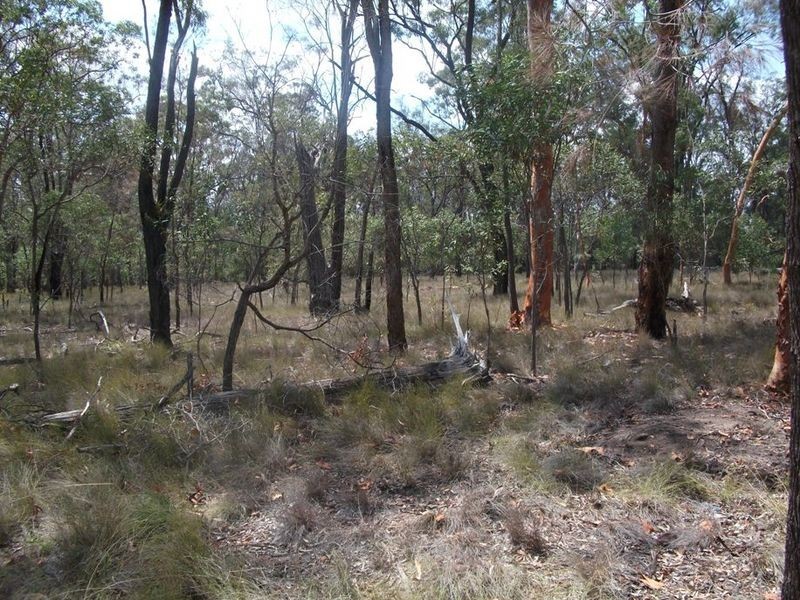 Coverty QLD 4613