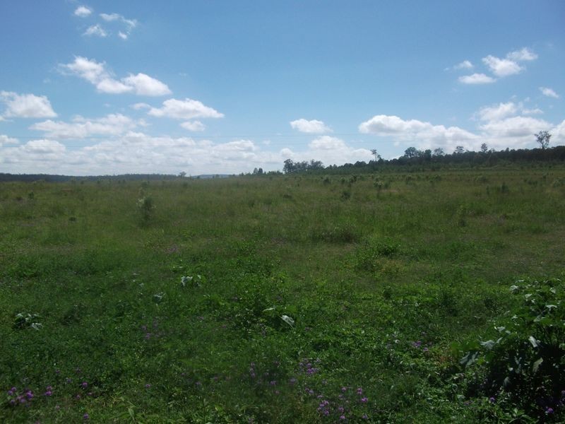 288 Oakdean Road, Gordonbrook QLD 4610