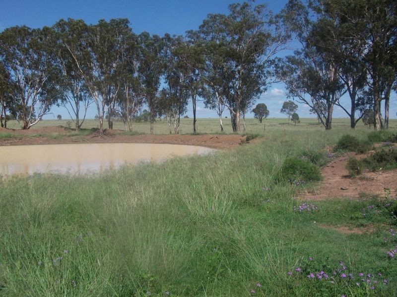 288 Oakdean Road, Gordonbrook QLD 4610